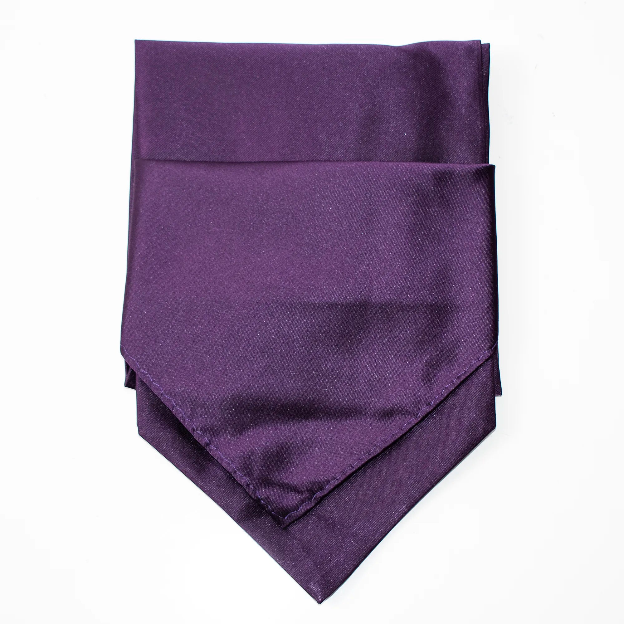 Men's Purple Ascot