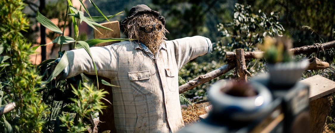 Summer Menswear Suits And Tuxedos