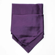 Men's Purple Ascot