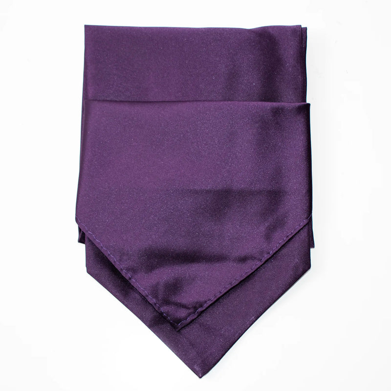 Men's Purple Ascot