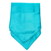 Men's Turquoise Ascot