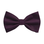 Men's Plum Bow-Tie