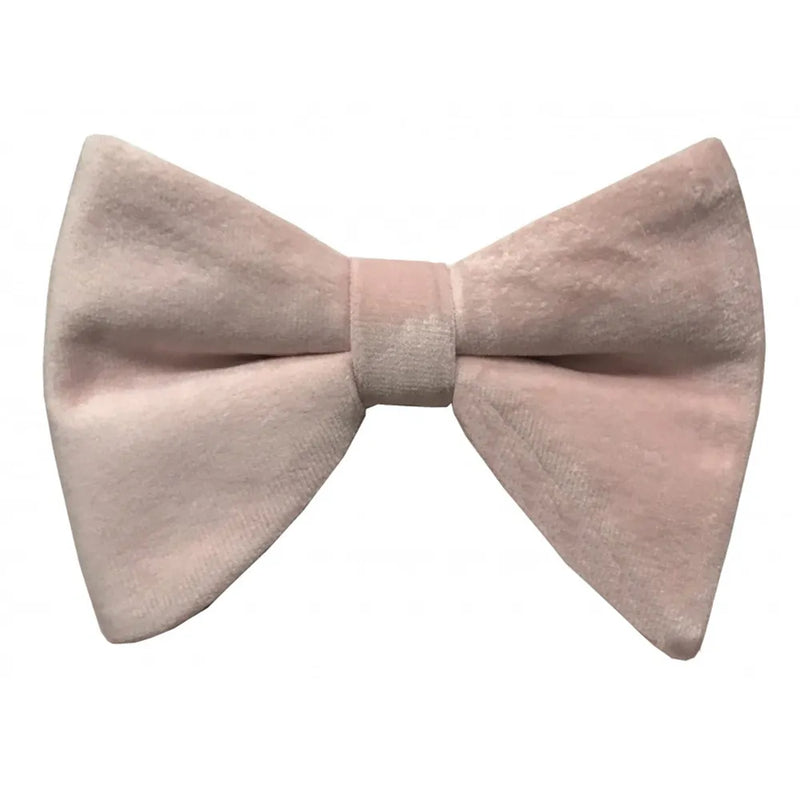 Velvet Butterfly Bow Tie with Matching Hankie