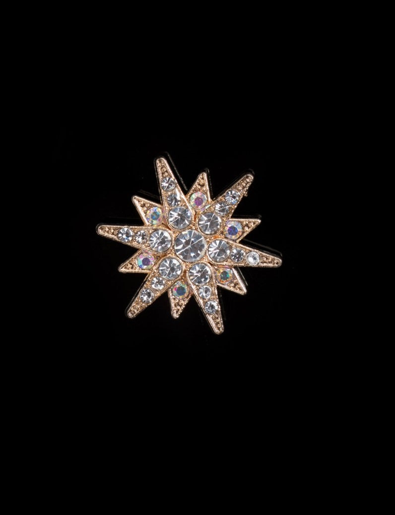Crystal Encrusted Star Lapel Pin