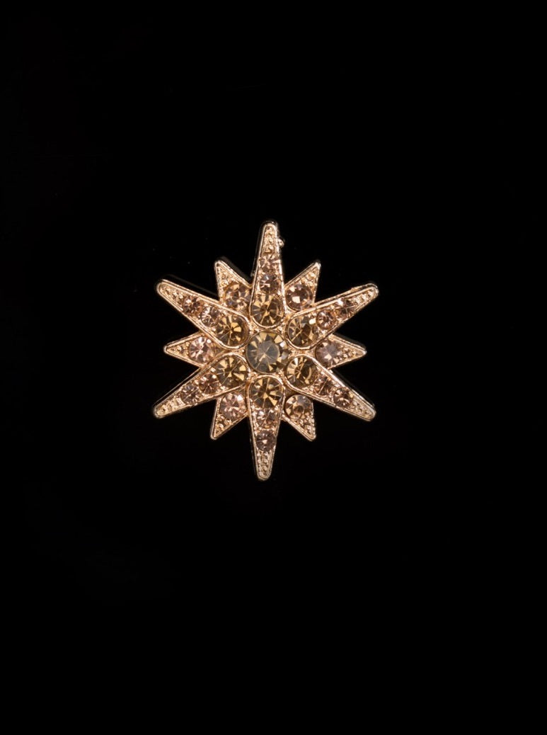 Crystal Encrusted Star Lapel Pin