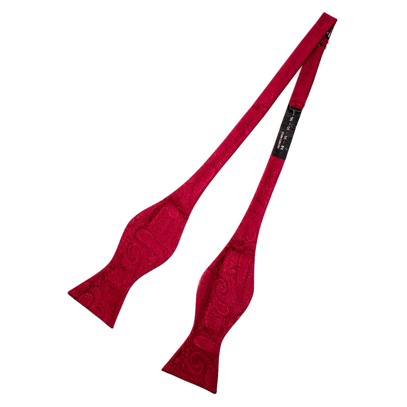 Self-Tie Paisley Satin Bow-Tie