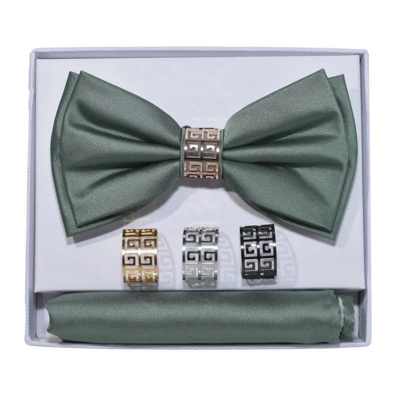 Stunning Ring Bow Tie with Matching Hanky