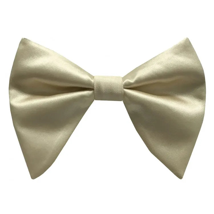 Butterfly Bow-Tie with Matching Handkerchief