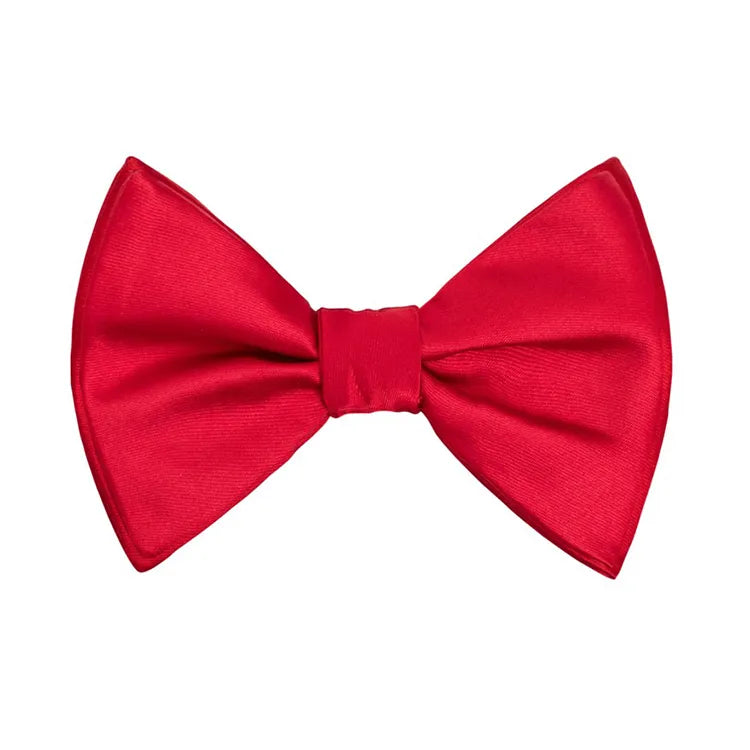 Kids' Solid Butterfly Bow Tie & Hanky
