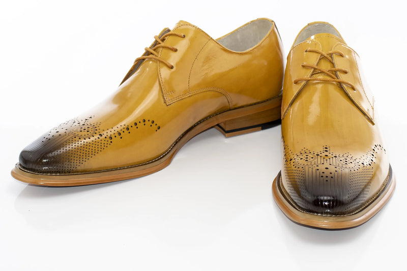 Scotch Wingtip Derby Lace-Up
